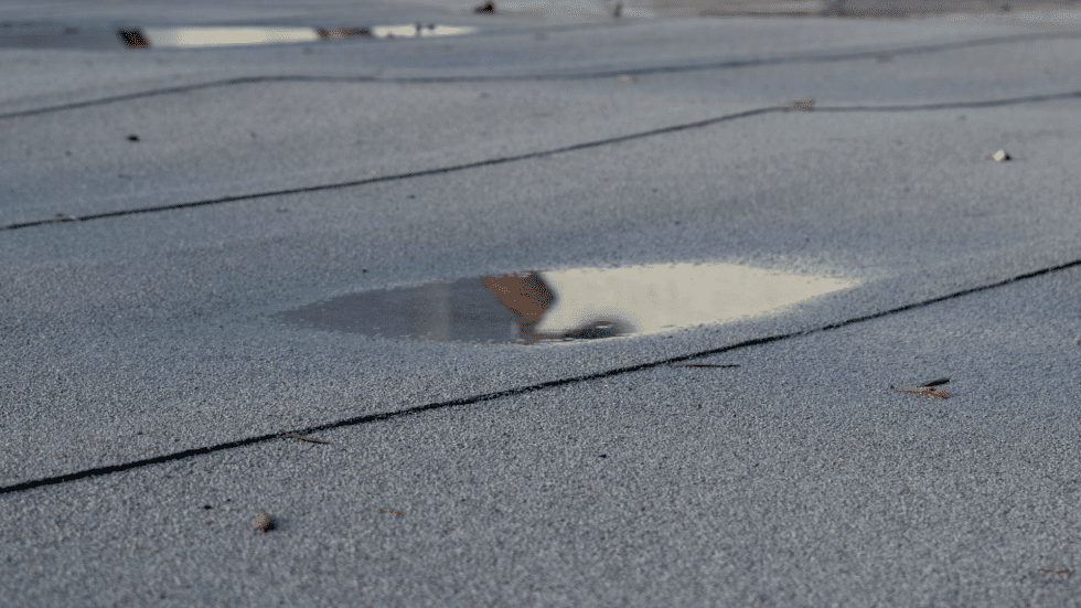 Pond of water on a flat roof