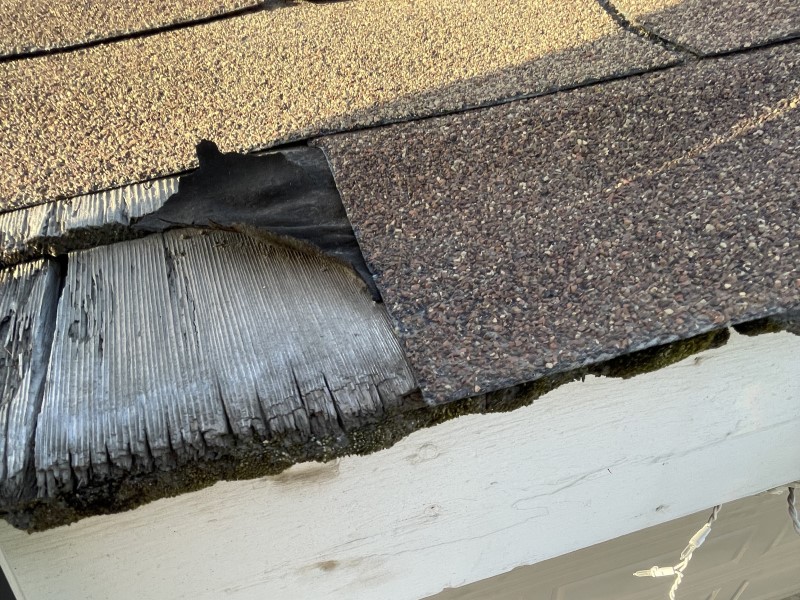 Shakes under shingles